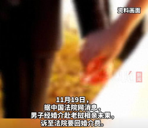 跨國相親夢碎，法院判返十萬婚介費